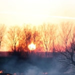 Sunset behind burnt trees