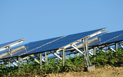 6 Reasons Solar Gardens Aren’t Worth It