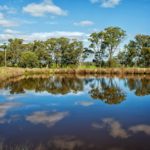 5 Reasons to Install Solar on Water (Floating PV) 1