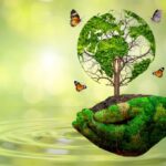 10 Regular Sustainability & Environment Events in Toowoomba 10