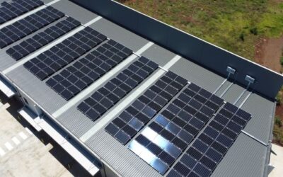 Everything Businesses Need to Know About the New 1 MW Solar Rebate